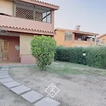 Ibisco *